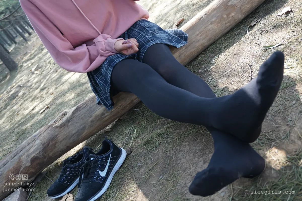 SIEE No. 052 photo 114
