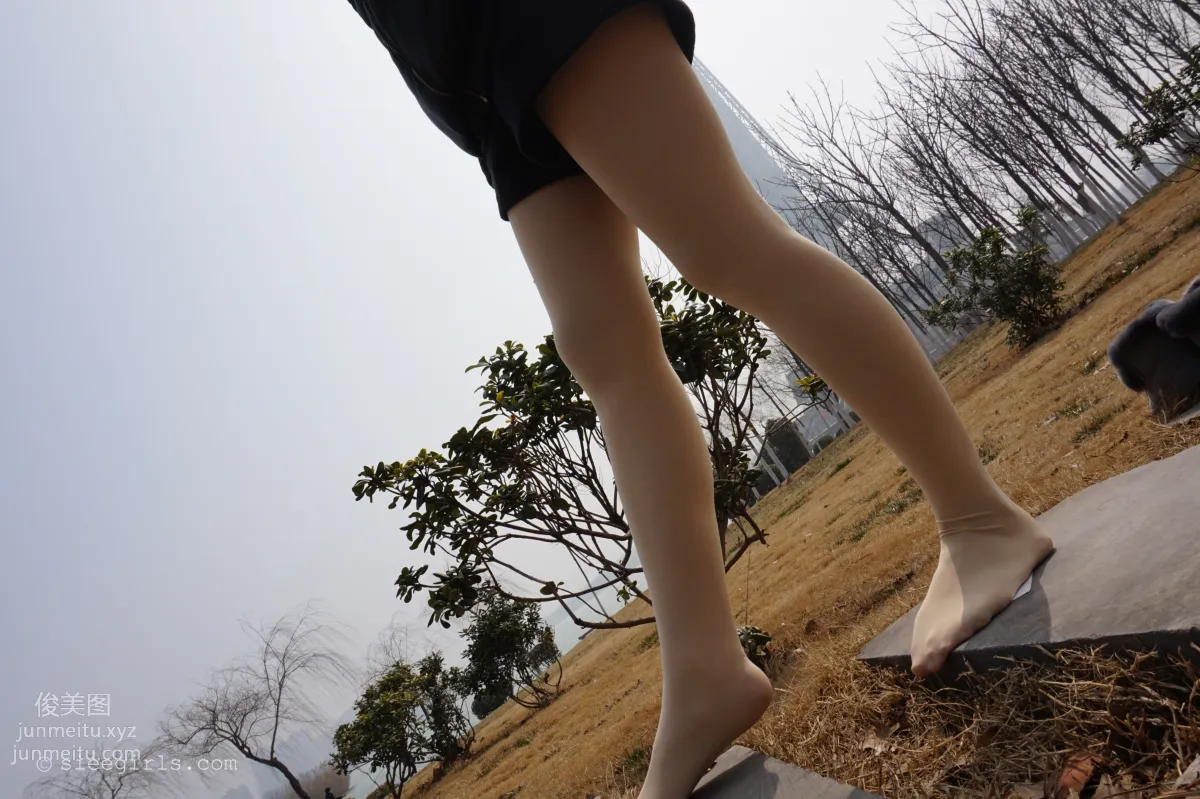 Qi Qi: SIEE No. 045 photo 110
