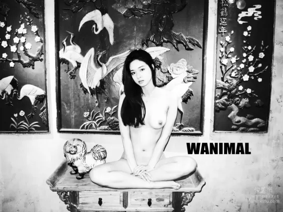 [WANIMAL王動] 2017年01月作品集