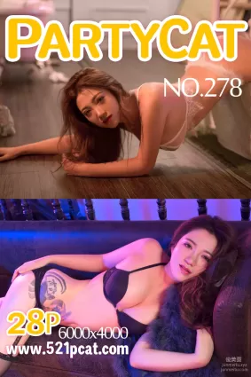 [PartyCat轰趴猫] 2018.11.13 NO.278 七七