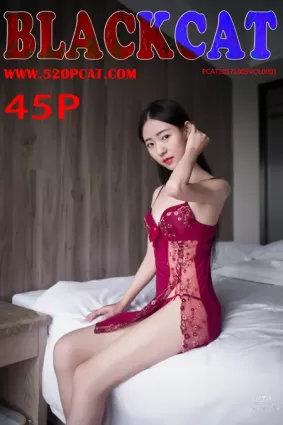 [PDL潘多拉] NO.011