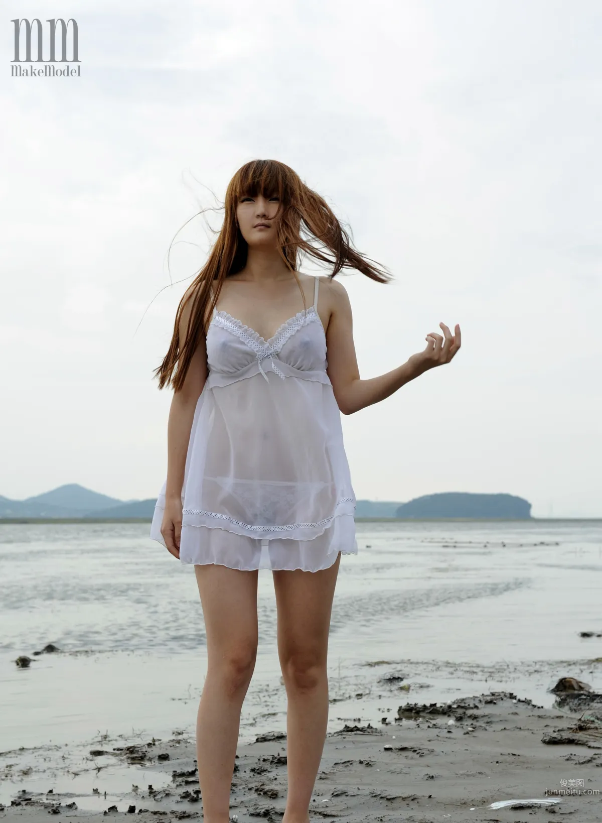 Gahui: Makemodel No. 102 photo 4