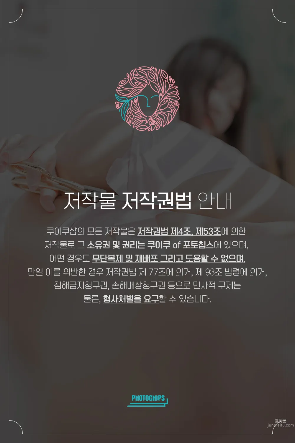 048.PhotoChips Vol.79 No.2 Sia (시아)[88P] 1