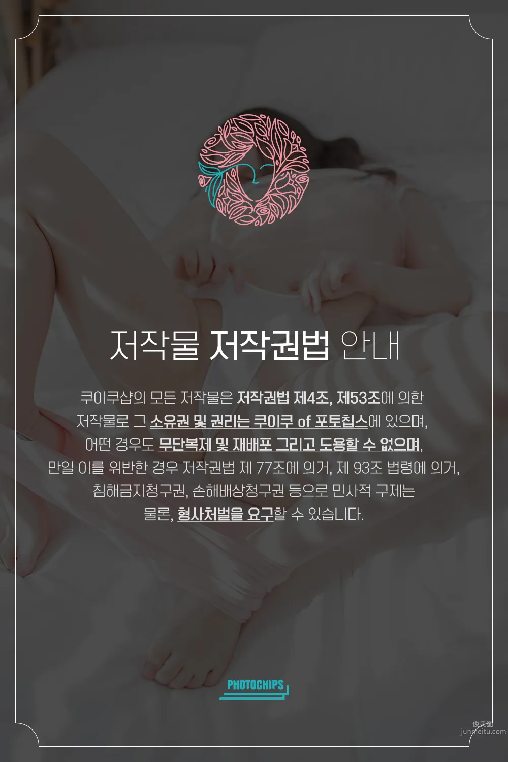 PhotoChips Vol.66 No.1 Sia (시아)[87P] 10