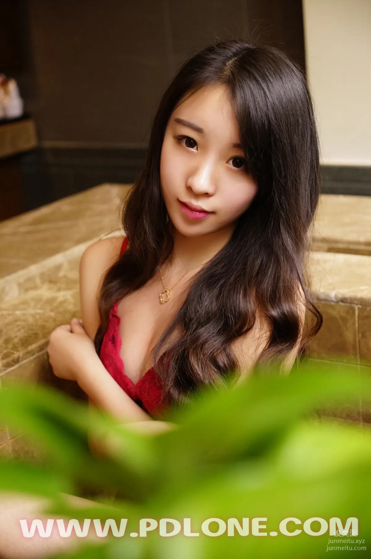 Pandora No. 329 photo 8