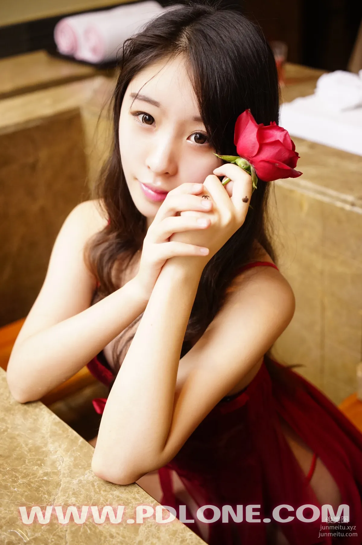 Pandora No. 329 photo 22