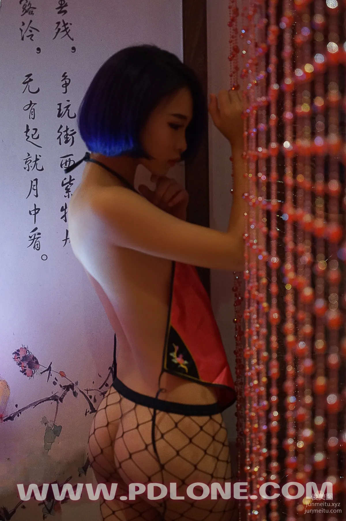 Pandora No. 333 photo 7
