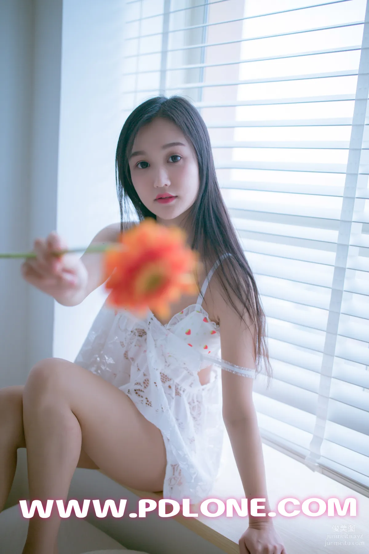 Pandora No. 404 photo 7