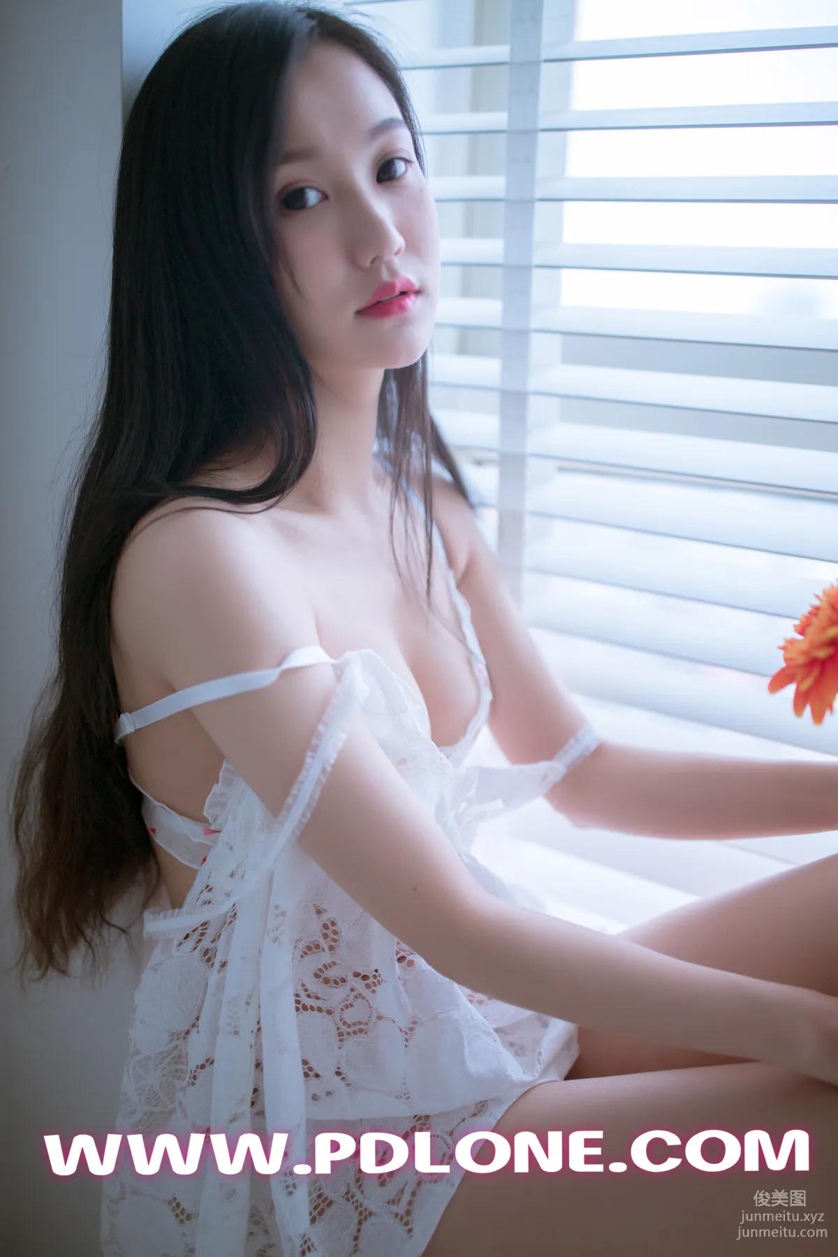 Pandora No. 404 photo 10
