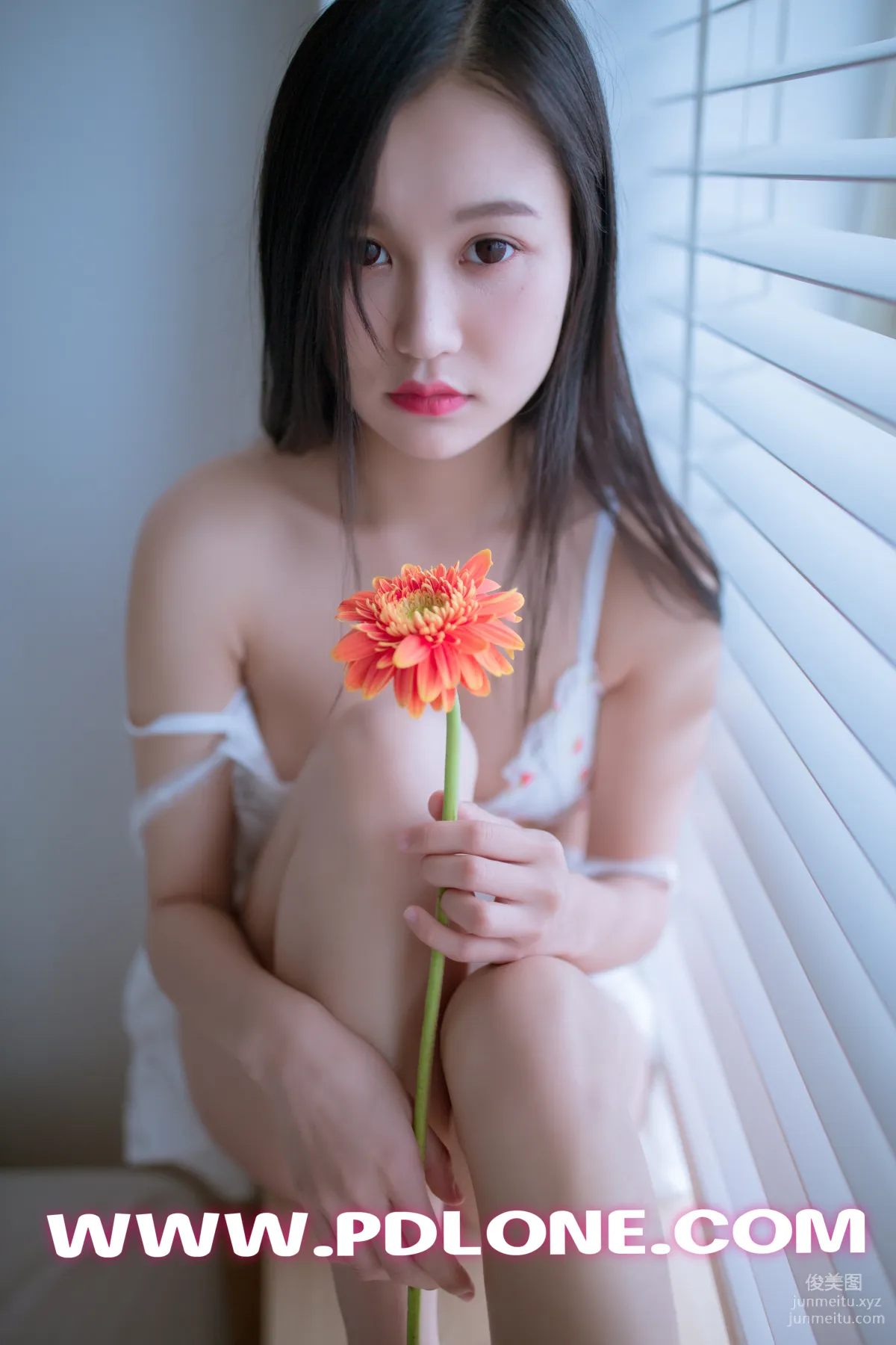 Pandora No. 404 photo 12