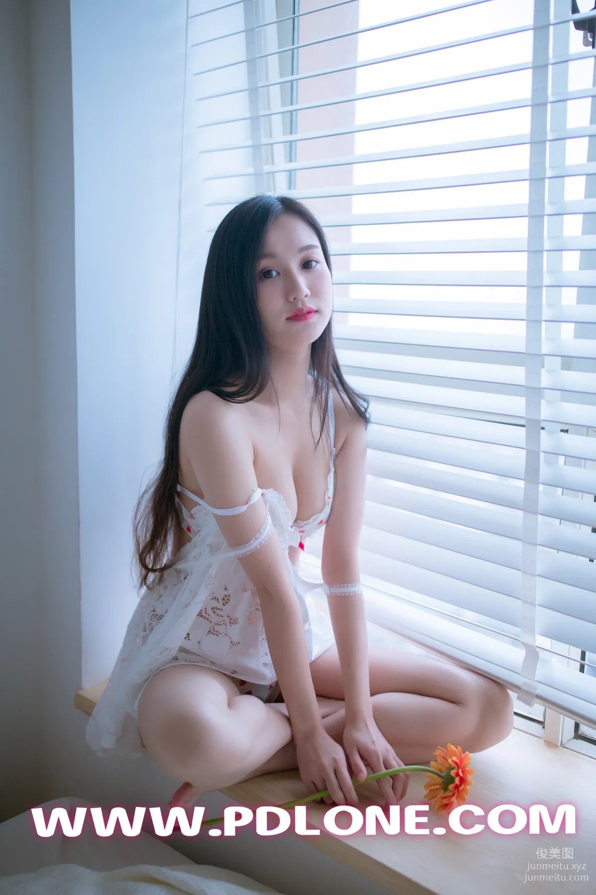 Pandora No. 404 photo 13