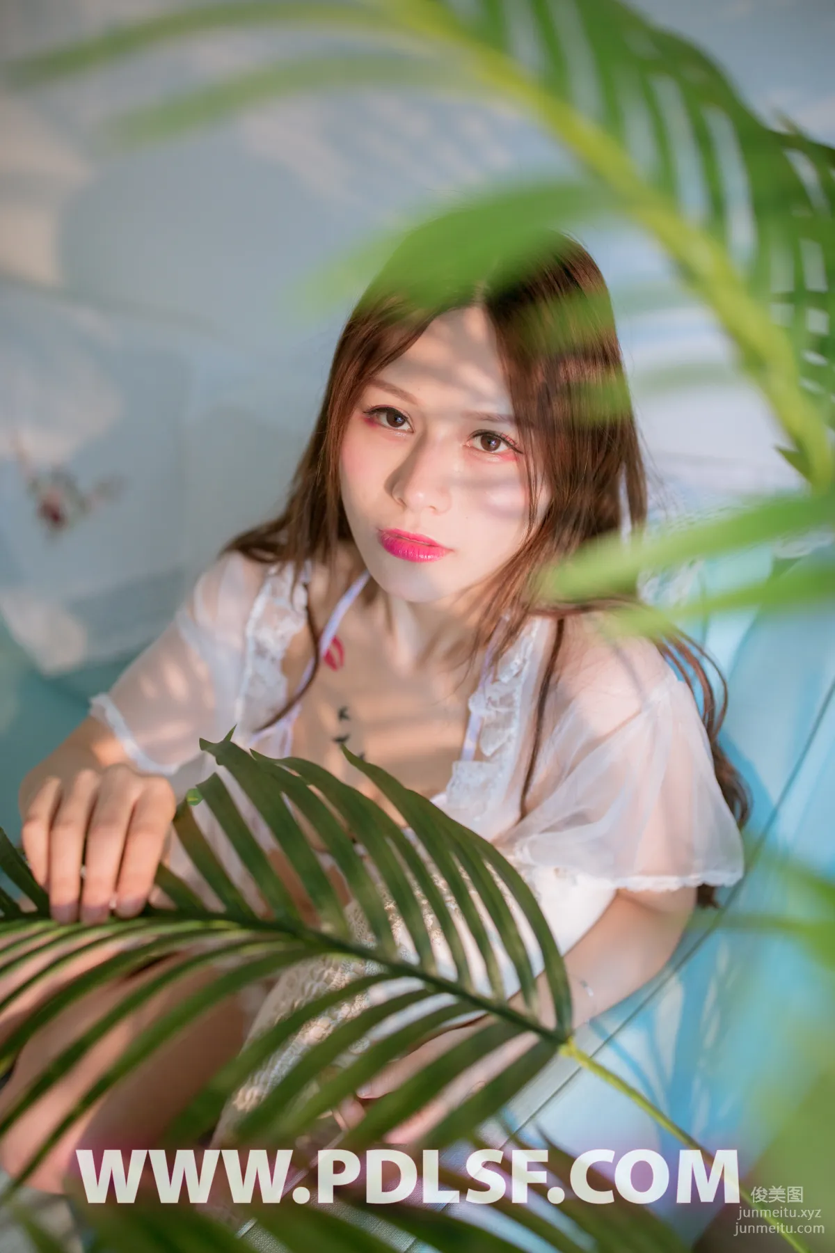 Pandora No. 431 photo 15