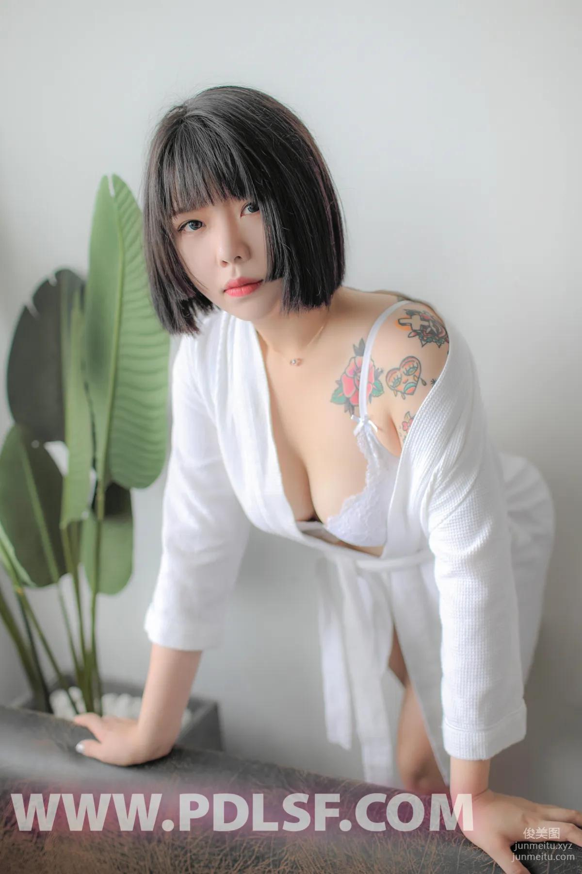 Pandora No. 440 photo 4