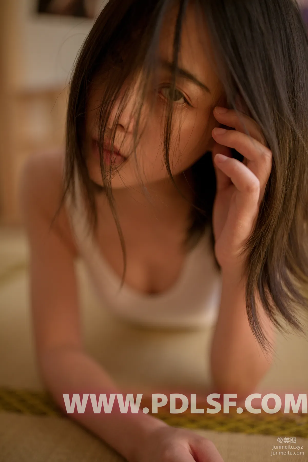 Pandora No. 450 photo 22