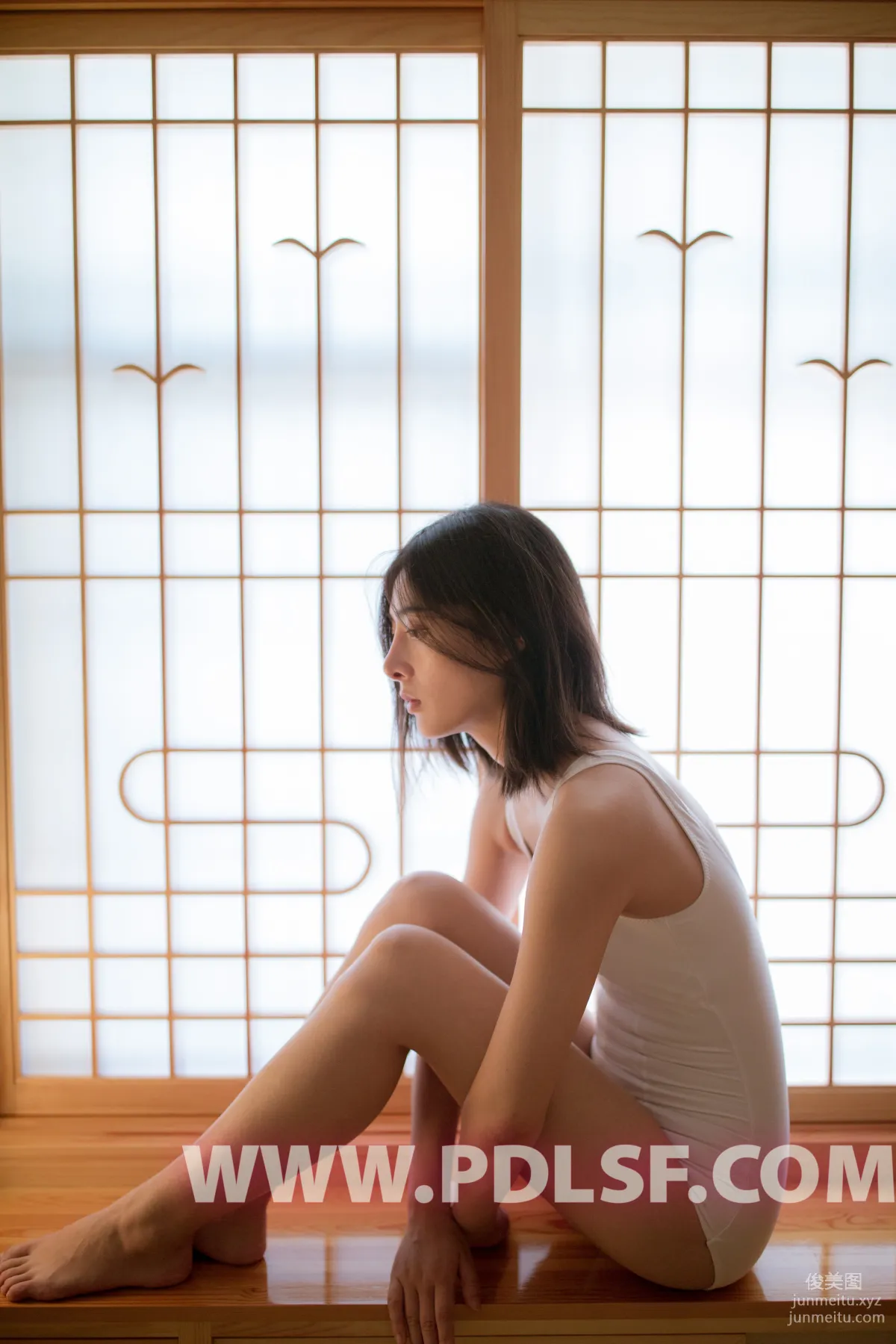 Pandora No. 450 photo 24