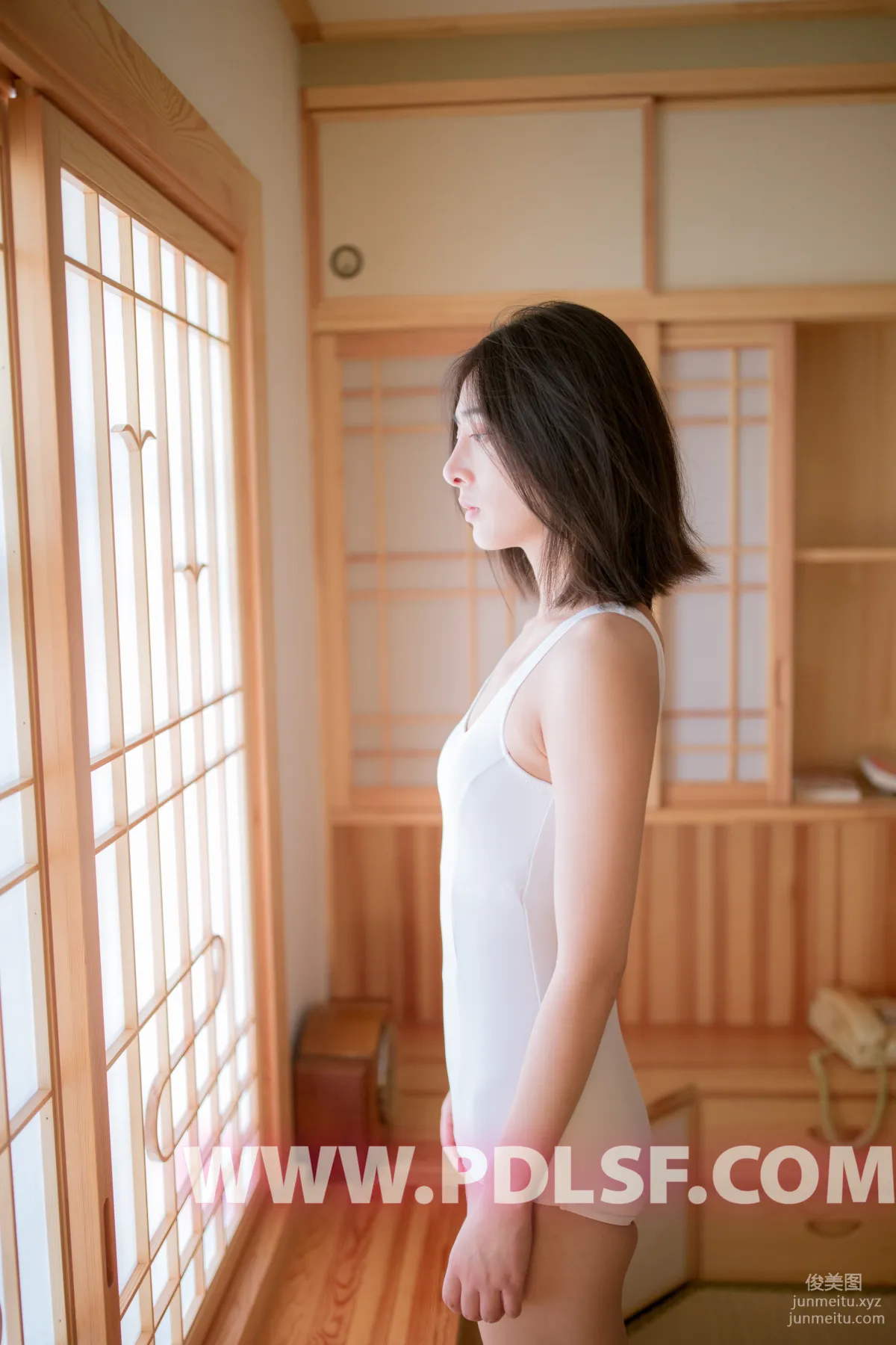 Pandora No. 450 photo 41