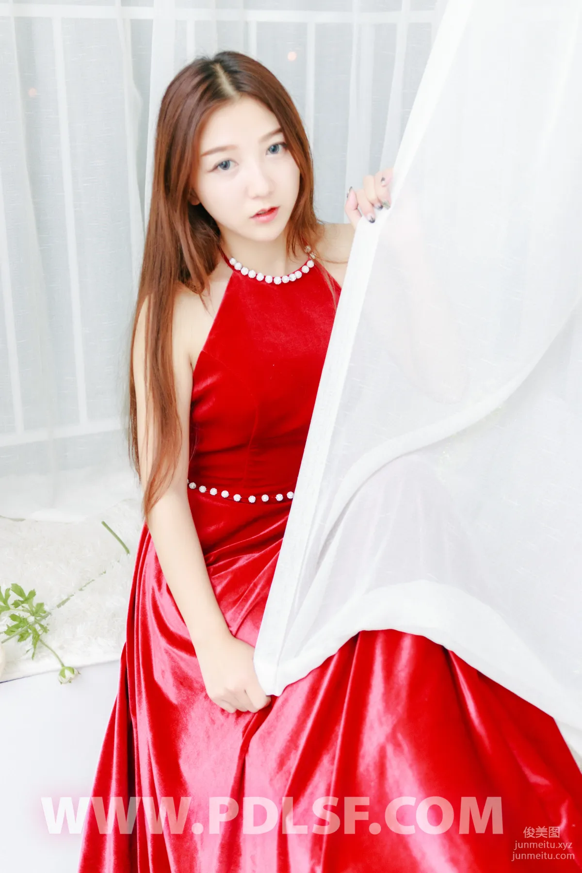 Pandora No. 462 photo 8