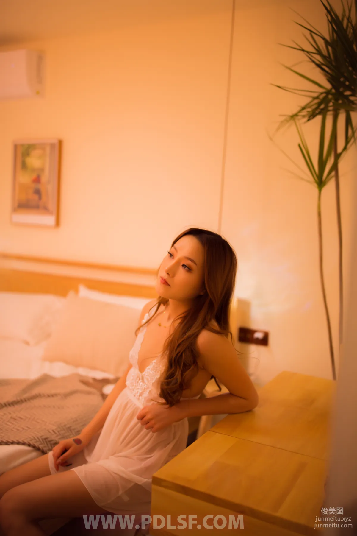 Pandora No. 501 photo 37