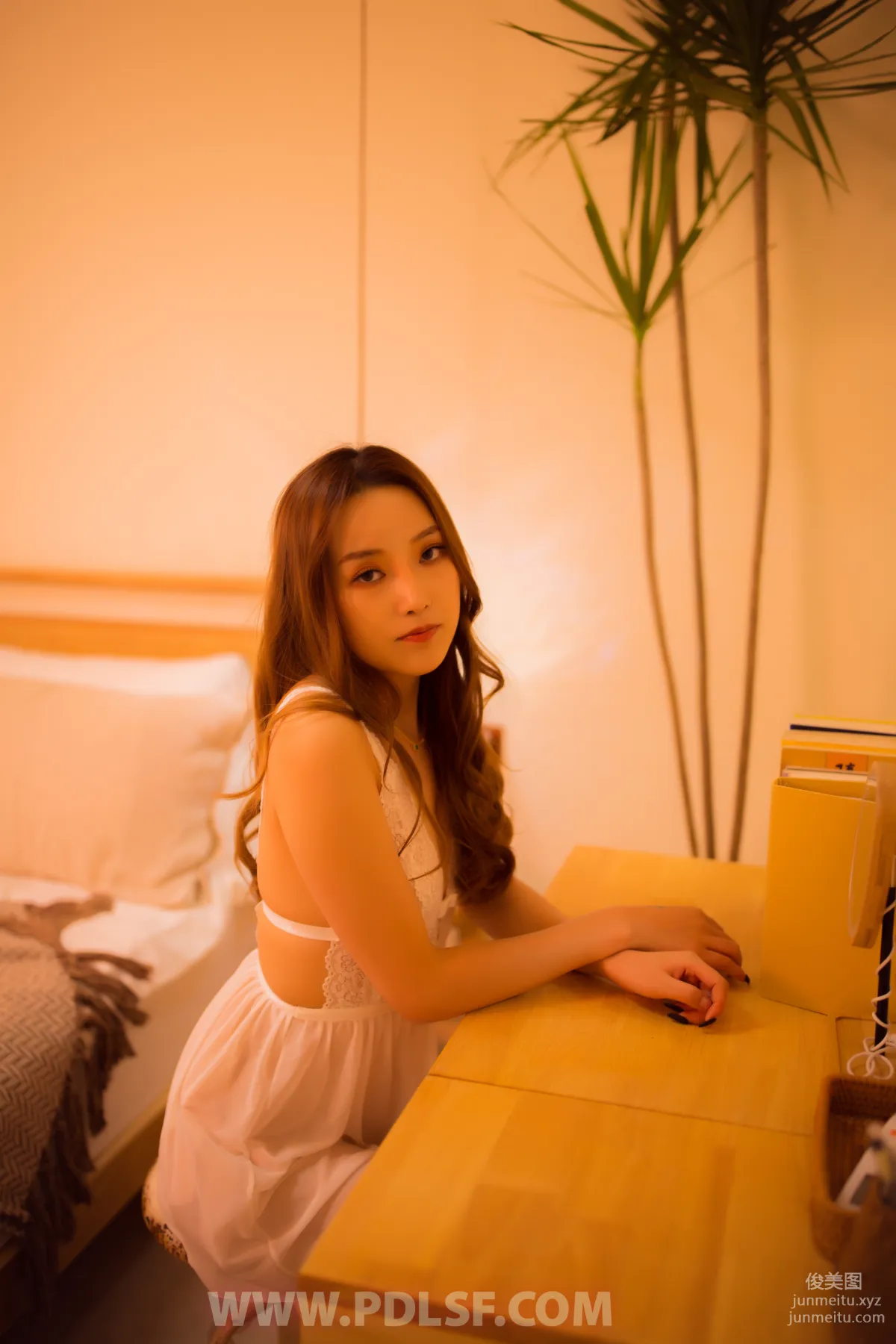 Pandora No. 501 photo 39