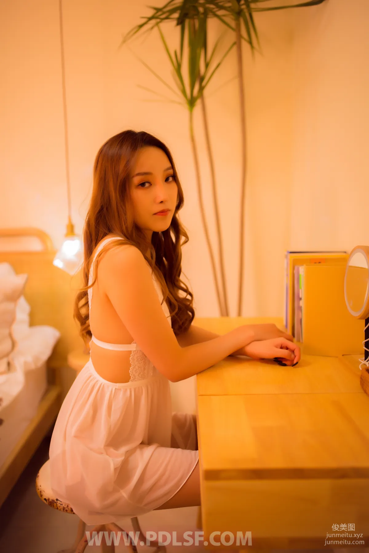 Pandora No. 501 photo 40