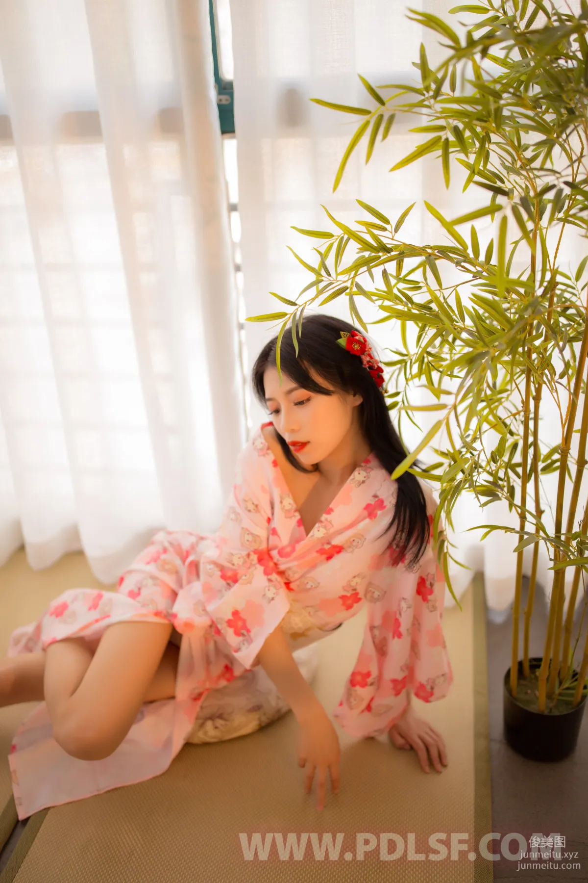 Pandora No. 541 photo 31