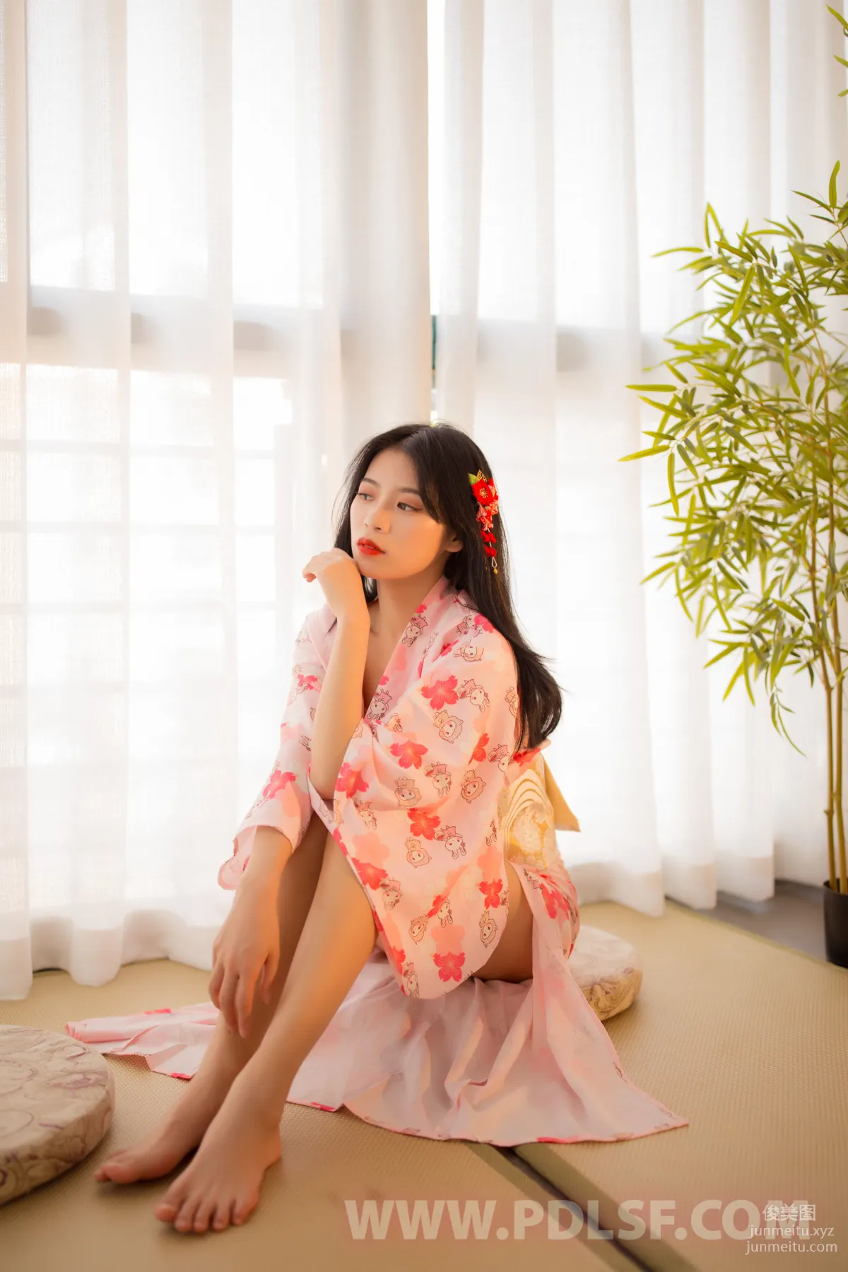 Pandora No. 541 photo 34