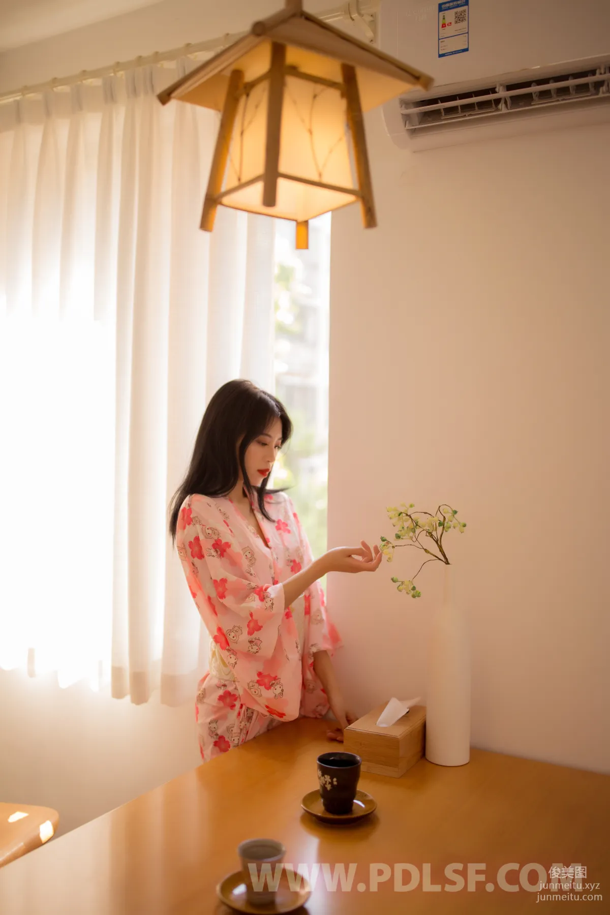 Pandora No. 541 photo 51