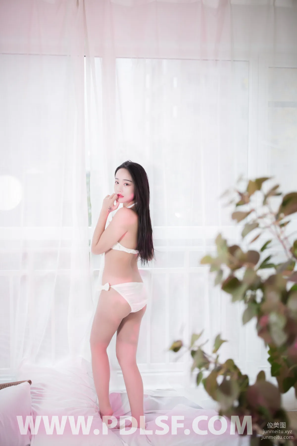 Pandora No. 545 photo 30