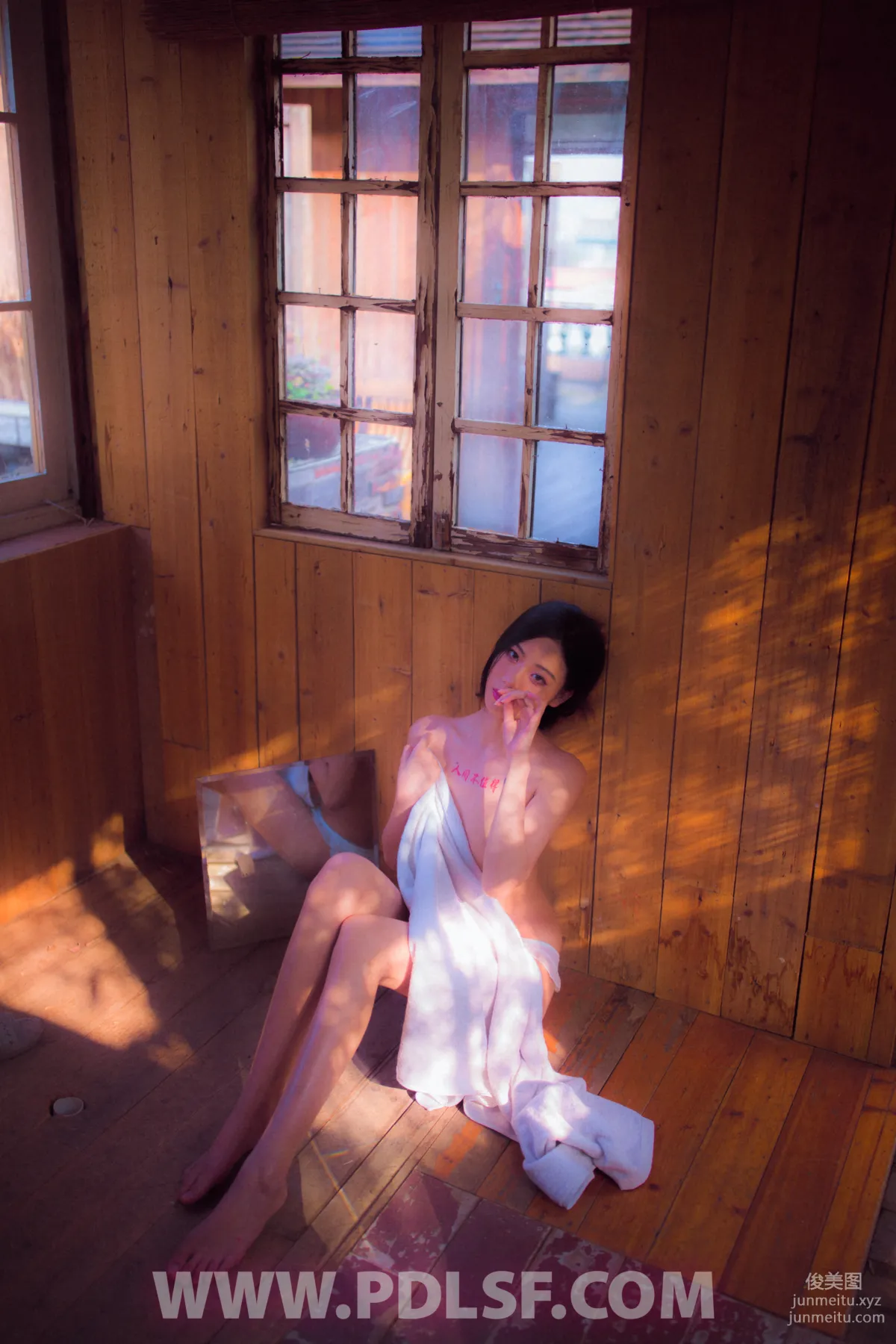 Pandora No. 547 photo 66