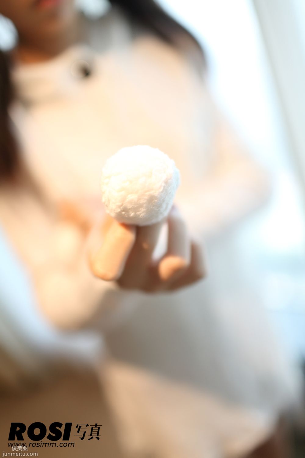 ROSI No. 373 photo 13